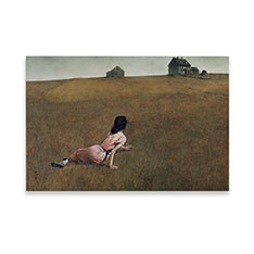 MoMA Andrew Wyeth WO\[ pY 1000s[X