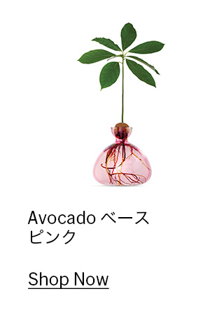 Avocado ベース ピンク