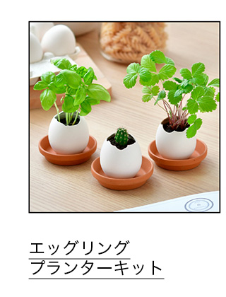エッグリング プランターキット