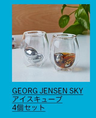 GEORG JENSEN SKY アイスキューブ 4個セット