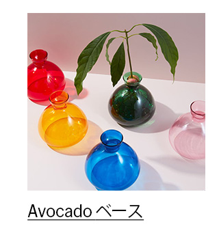 Avocado ベース グリーン
