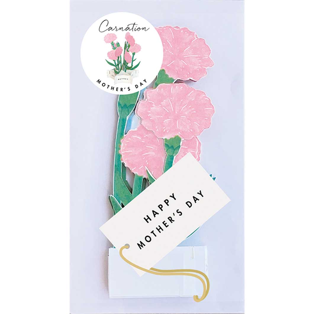 Mother's Day u[~OJ[h J[lV sN