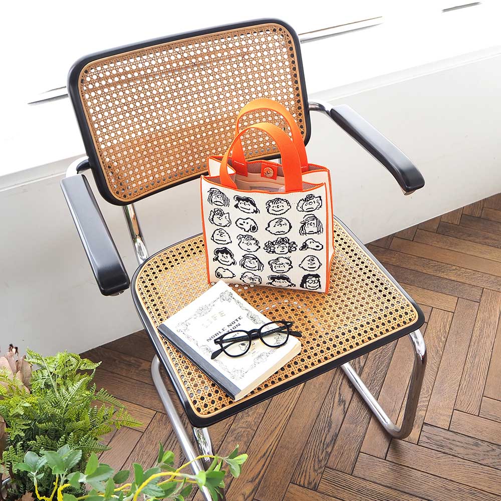 Peanuts L[rbNobO Peanuts Gang