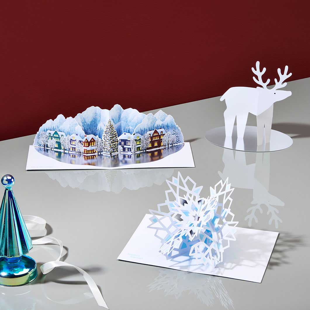 MoMA NX}XJ[h 2025 Snowstar