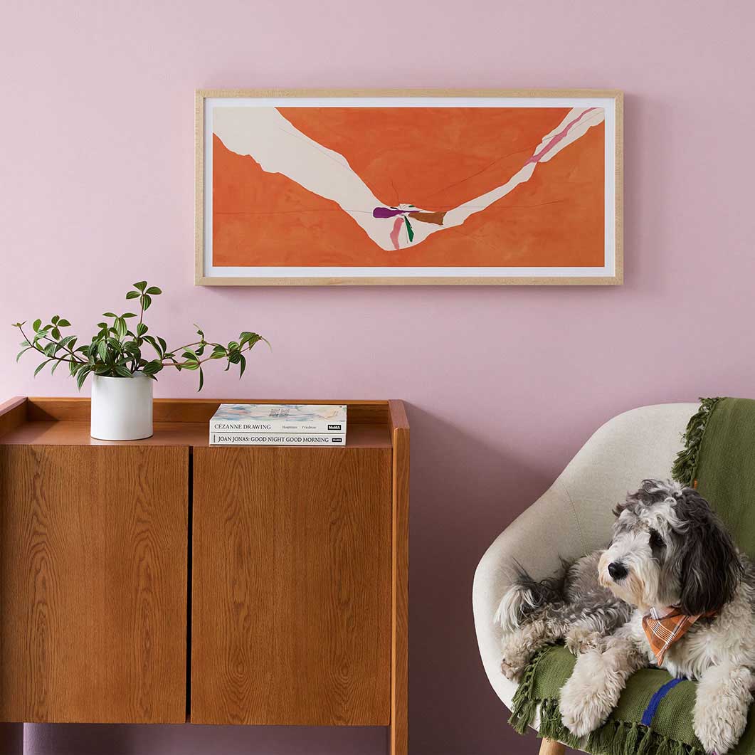 �w�����E�t�����P���T�[���[�FChairman of the Board �t���[���t�|�X�^�[