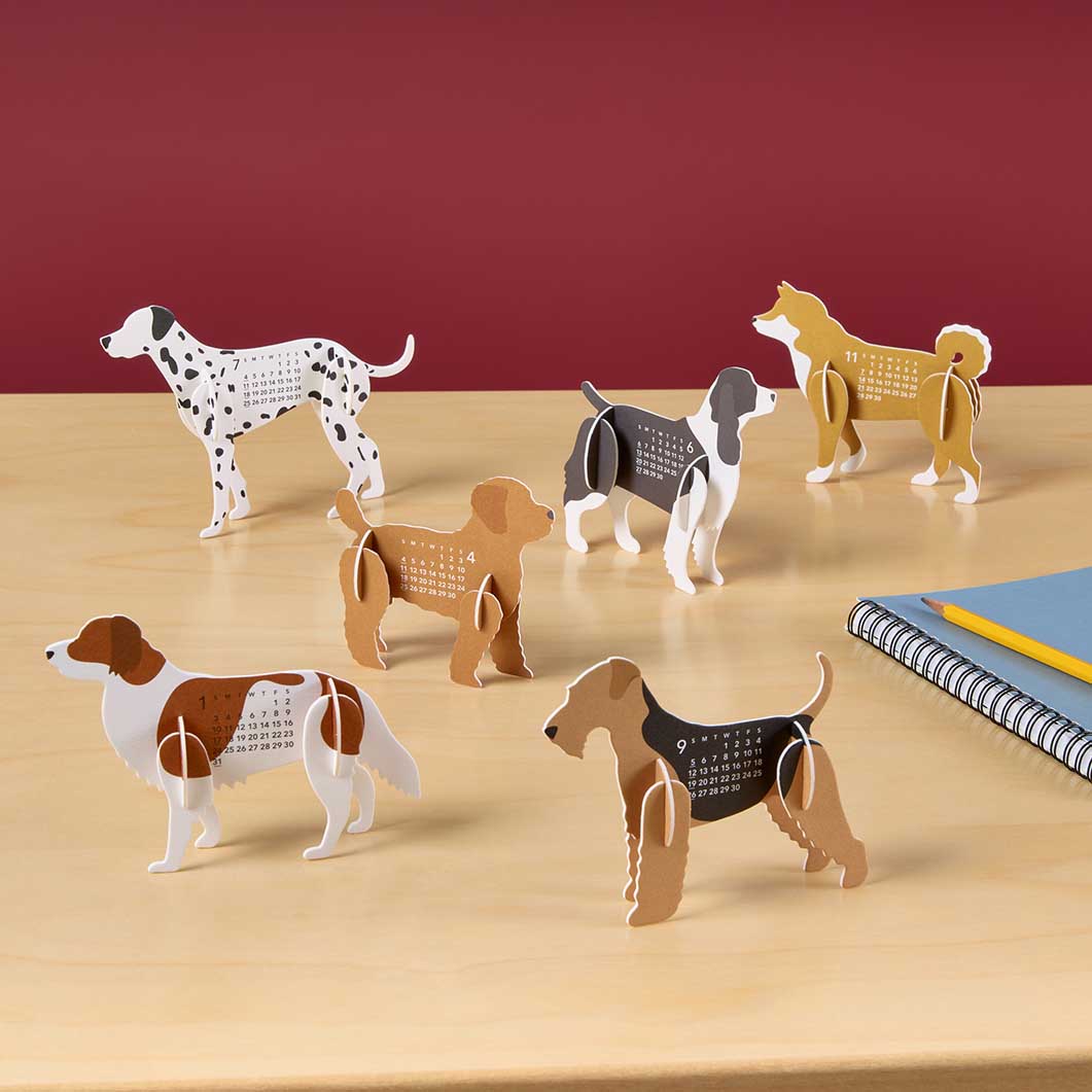 Dogs �J�����_�[2027