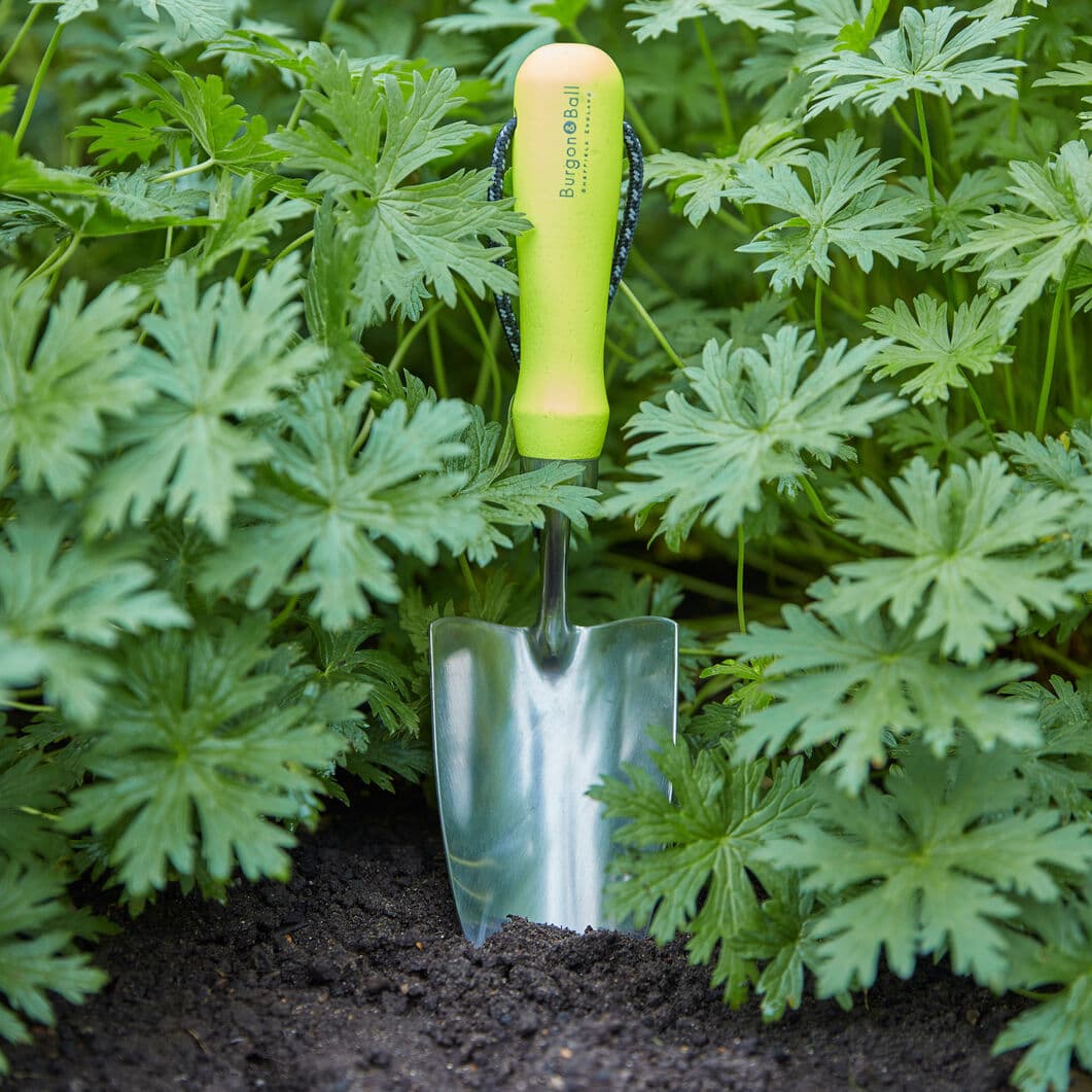 Burgon  Ball nhXRbv CG[