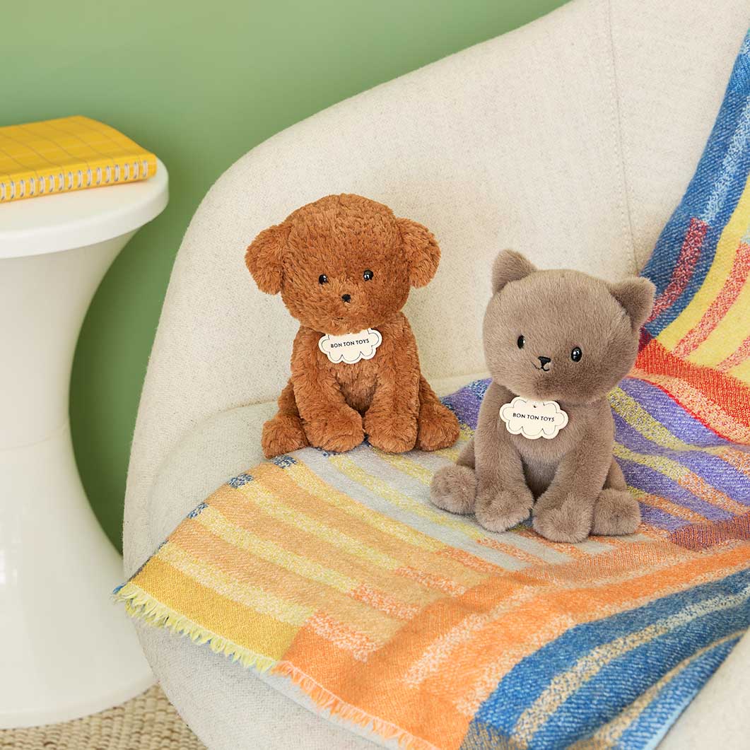 Freddy the British Shorthair in a Giftbox �v���b�V���g�C