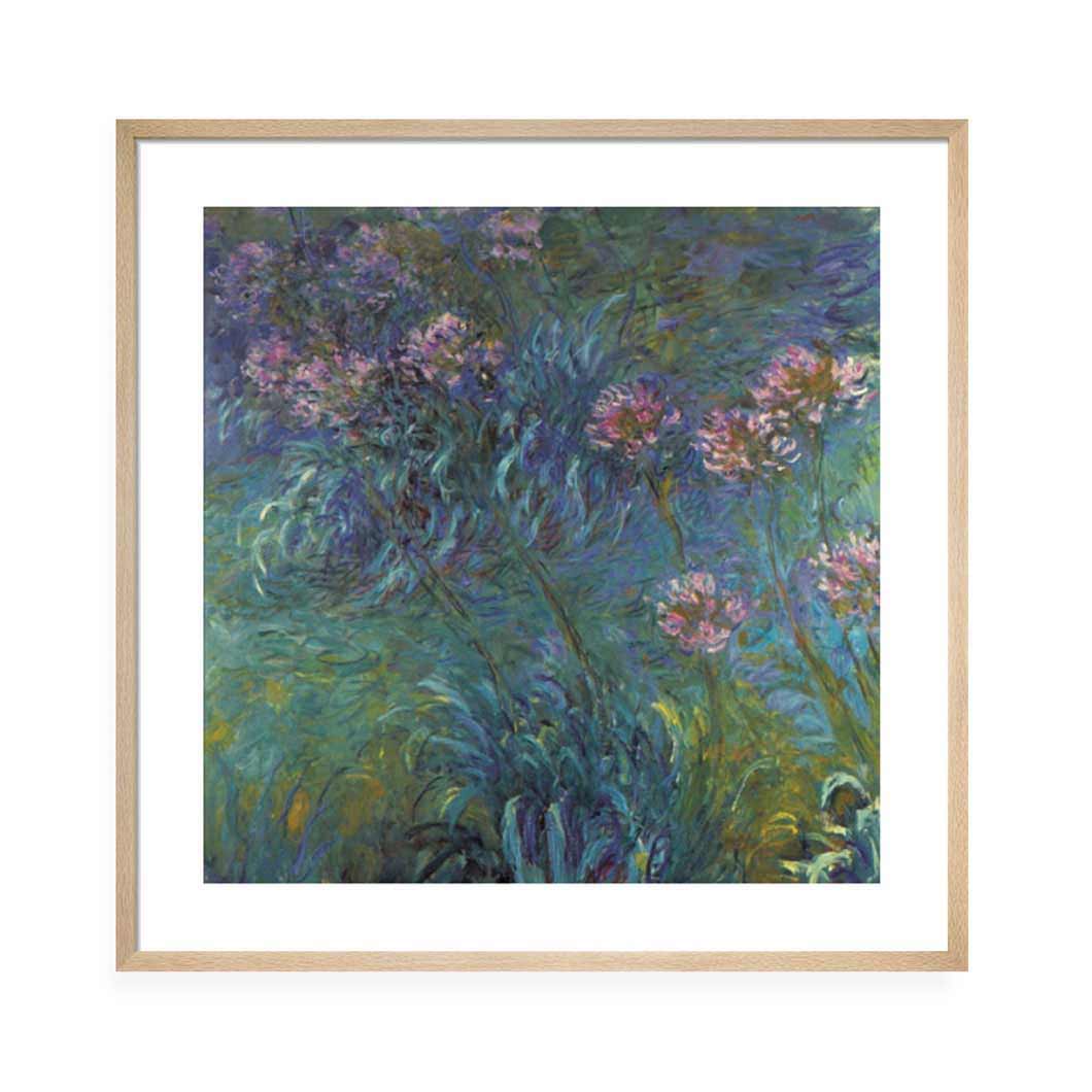 2026 MoMA���� 6���~