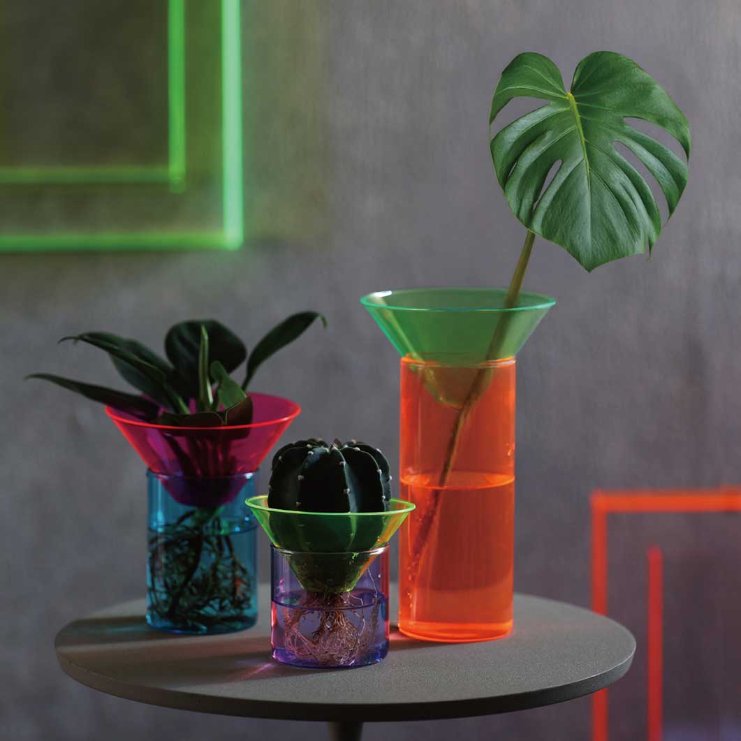 Neon Glass Vase ���[�W