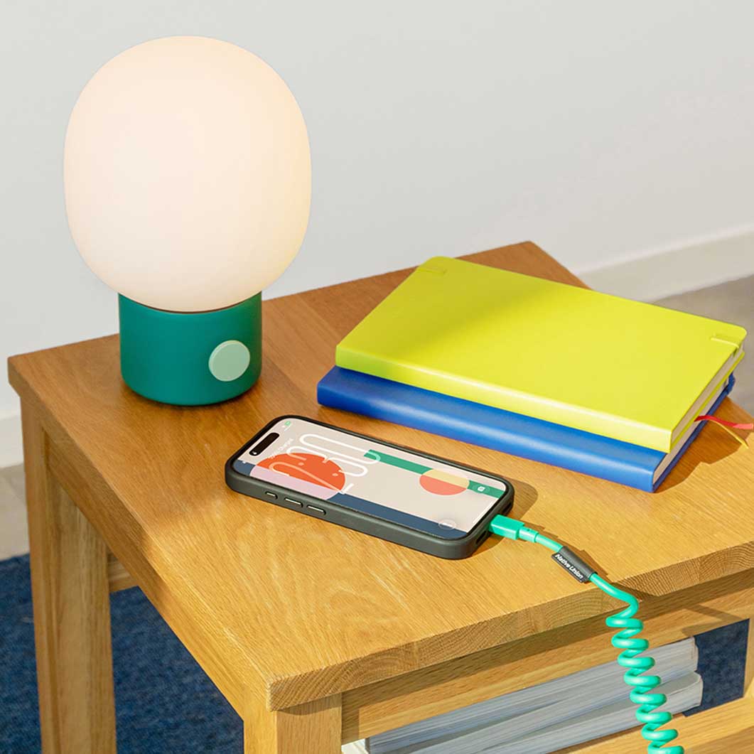 Native Union Pop Cable �p�C���O���[��
