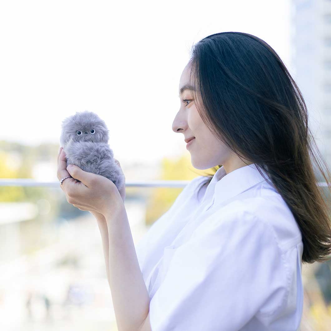 mirumi �`���[�����{�b�g �O���[