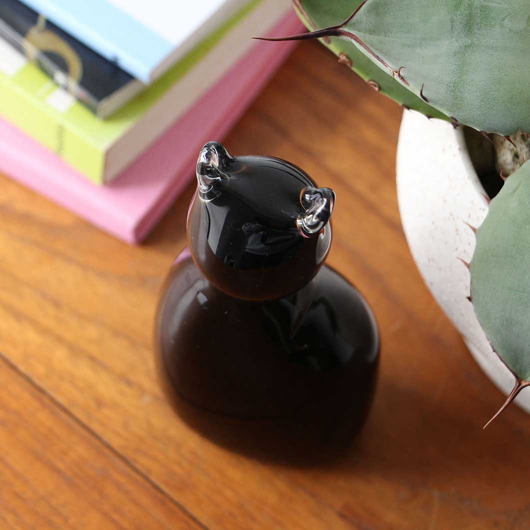 �K���X �L���b�g �I�u�W�F