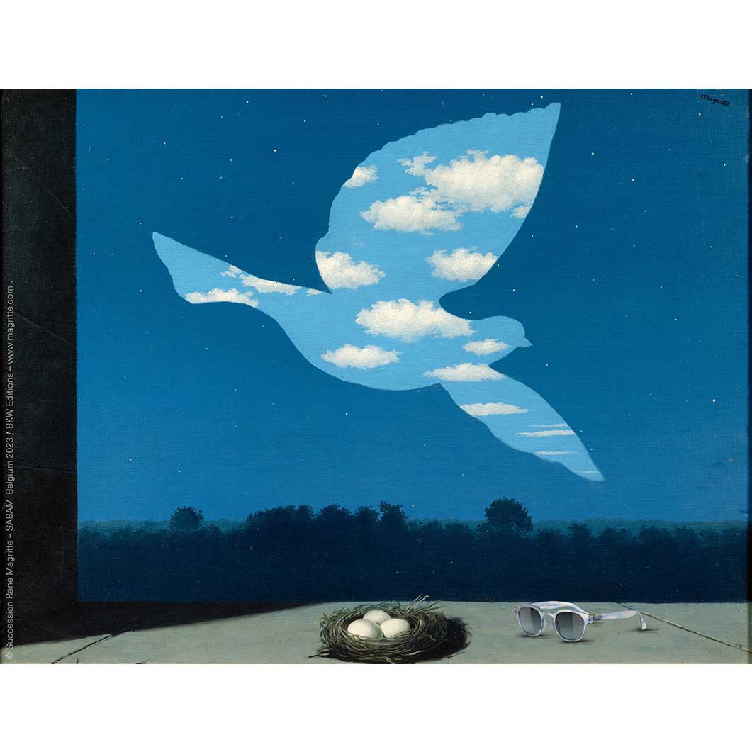 IZIPIZI Magritte サングラス ＃C Clouds  MoMA