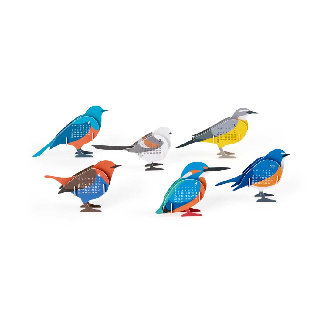 Birds �J�����_�[2027