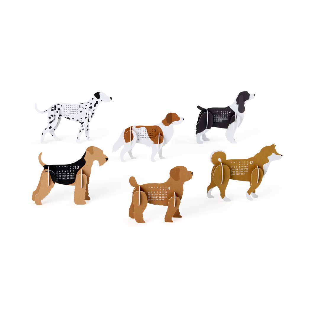 Dogs �J�����_�[2027