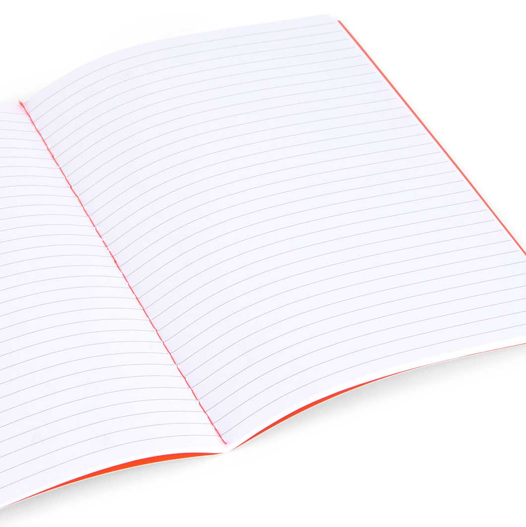 MoMA Color on Color ���S �m�[�g�u�b�N �A�N�A �^ ���b�h