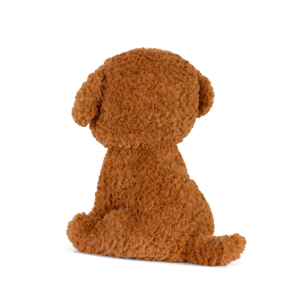 Freddy the British Shorthair in a Giftbox �v���b�V���g�C
