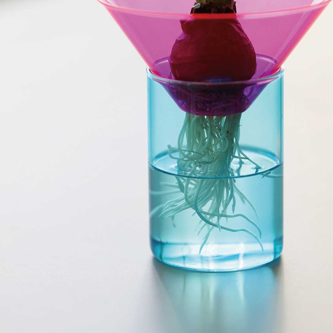 Neon Glass Vase �~�f�B�A��