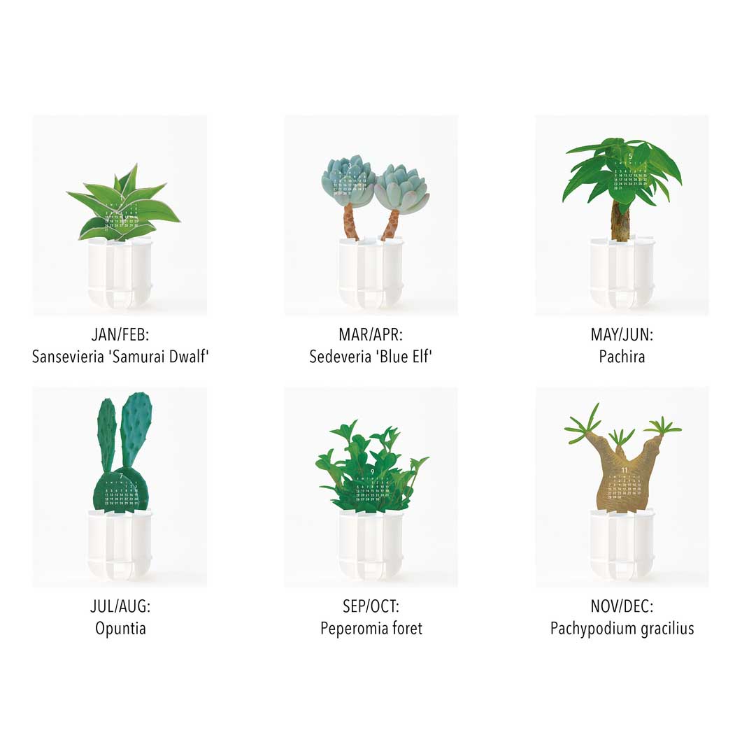 Green �J�����_�[2027
