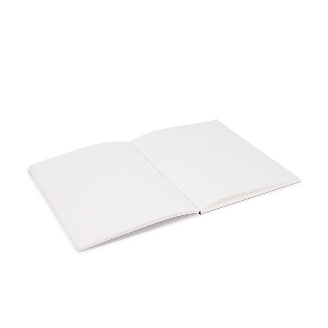 MoMA Color on Color �X�P�b�`�u�b�N ���[�W �I�����W �^ �A�N�A