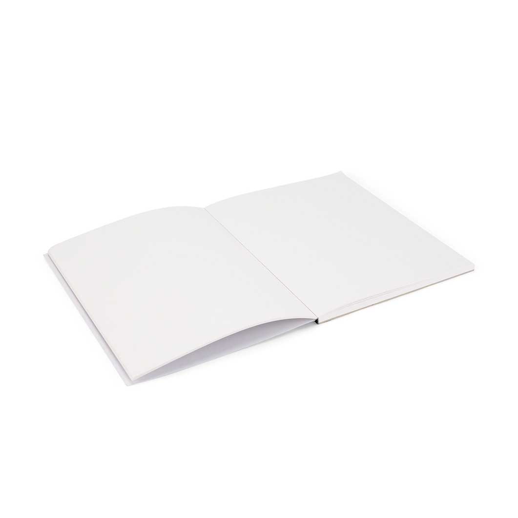 MoMA Color on Color �X�P�b�`�u�b�N ���[�W �u���[ �^ �s���N