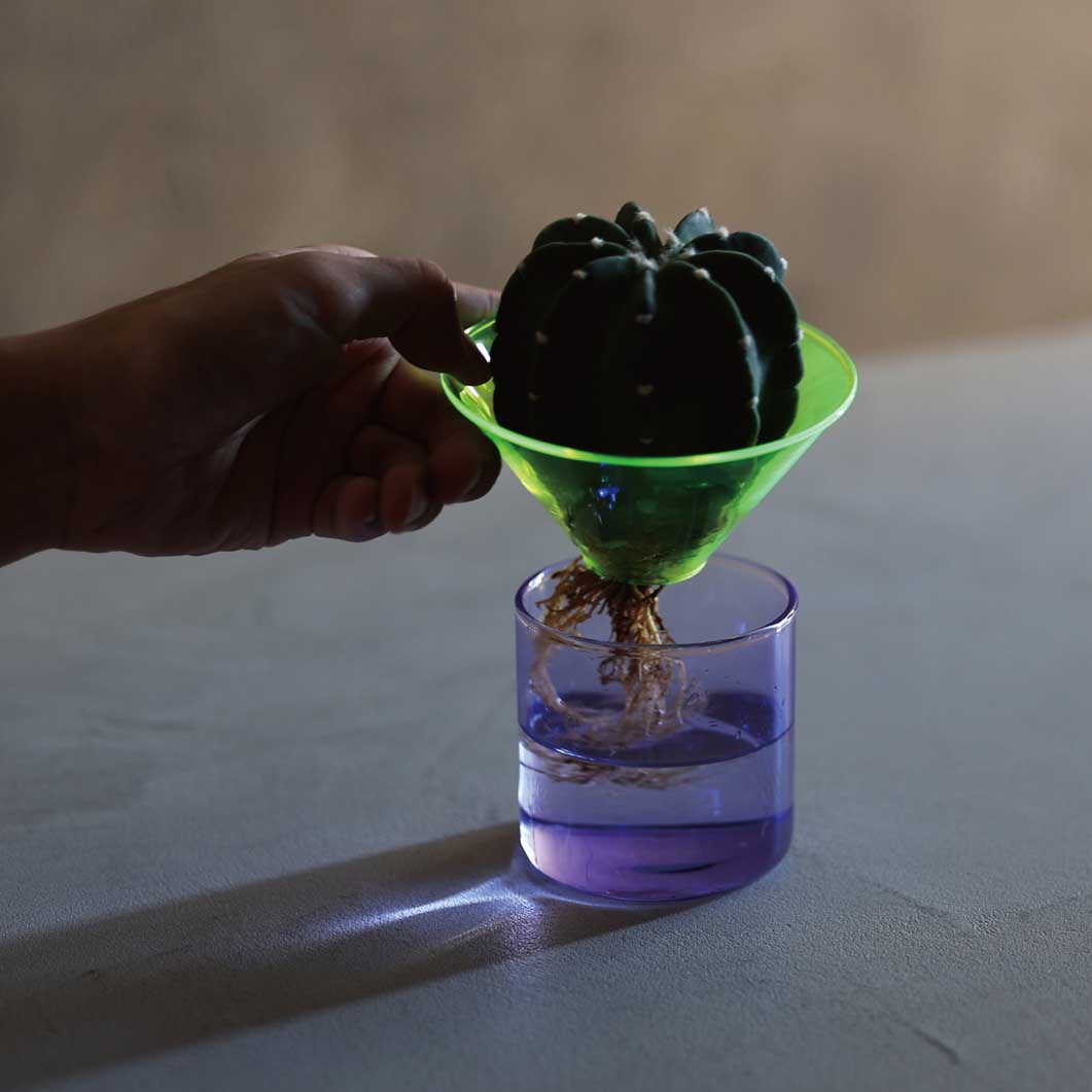 Neon Glass Vase �X���[��