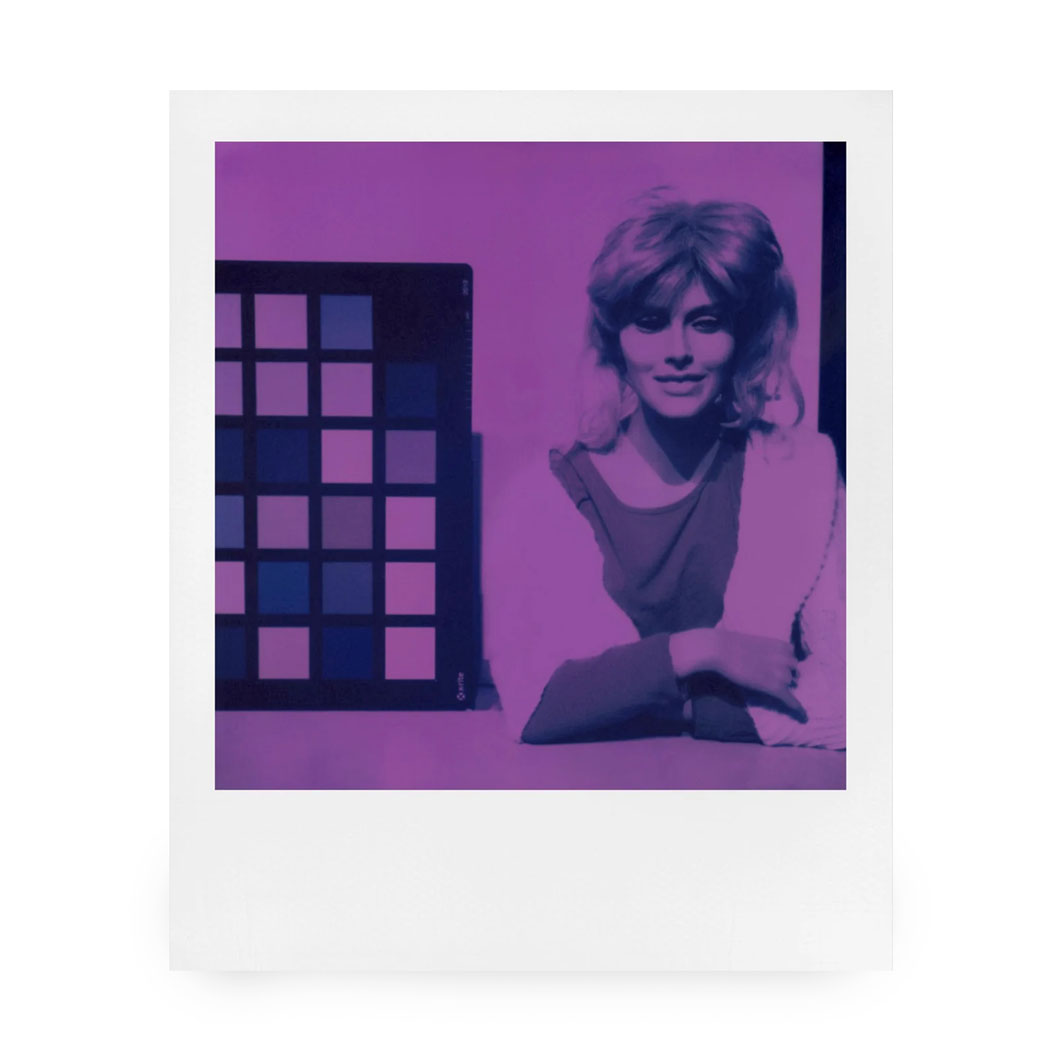 Polaroid Purple 600 �t�B���� �i8������j