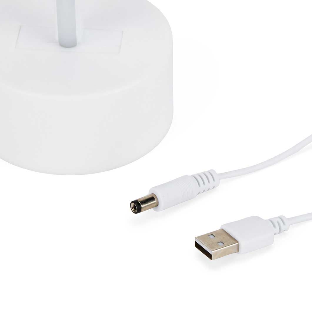 LED �f�X�N���C�g �t�����[