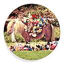 Maurizio Cattelan:プレート Ponyの商品画像