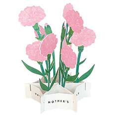 Mother's Day u[~OJ[h J[lV sN