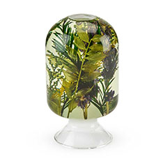 Pieces of Time �t�����[�I�u�W�F �C���O���b�V���K�[�f��