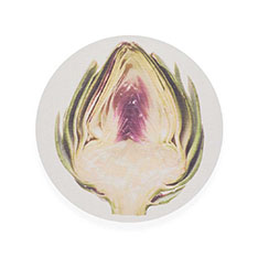 Chilewich Vegetables �v���[�X�}�b�g Artichoke