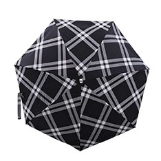Anatole Sun �A���u���� �܂肽���� �c�C�[�h Camden