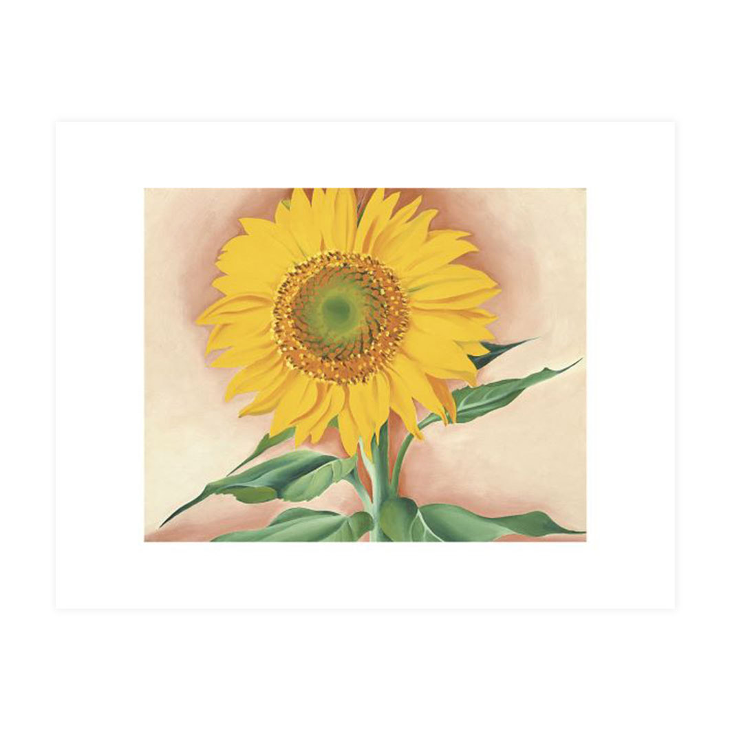 IL[t:A Sunflower from Maggie, 1937 |X^[