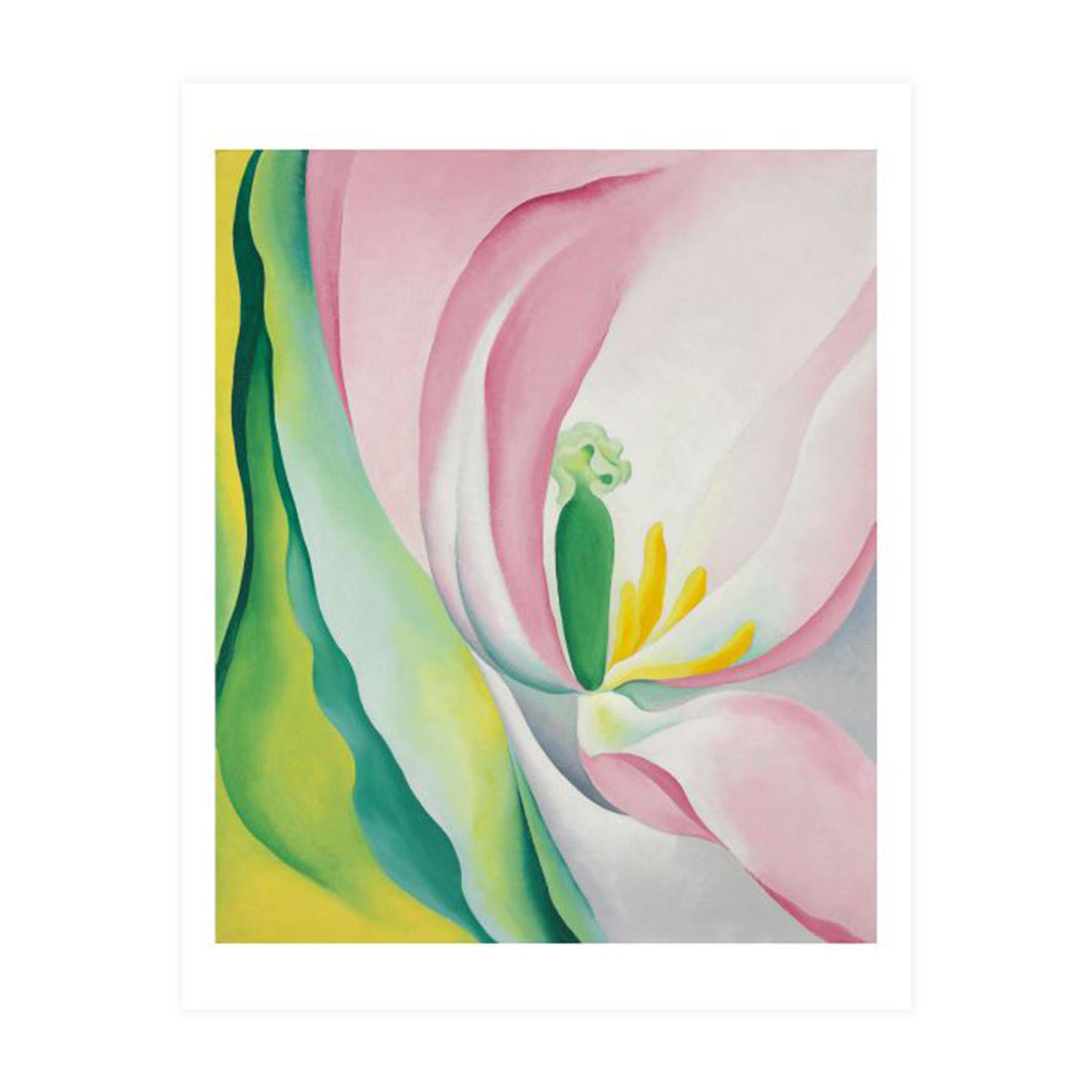 硼:Pink Tulip, 1926 ݥ