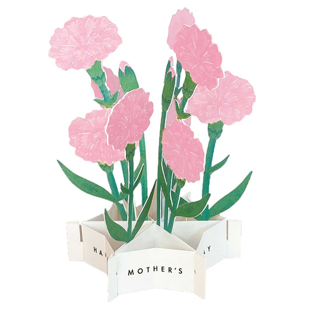Mother's Day ֥롼ߥ󥰥 ͥ ԥ
