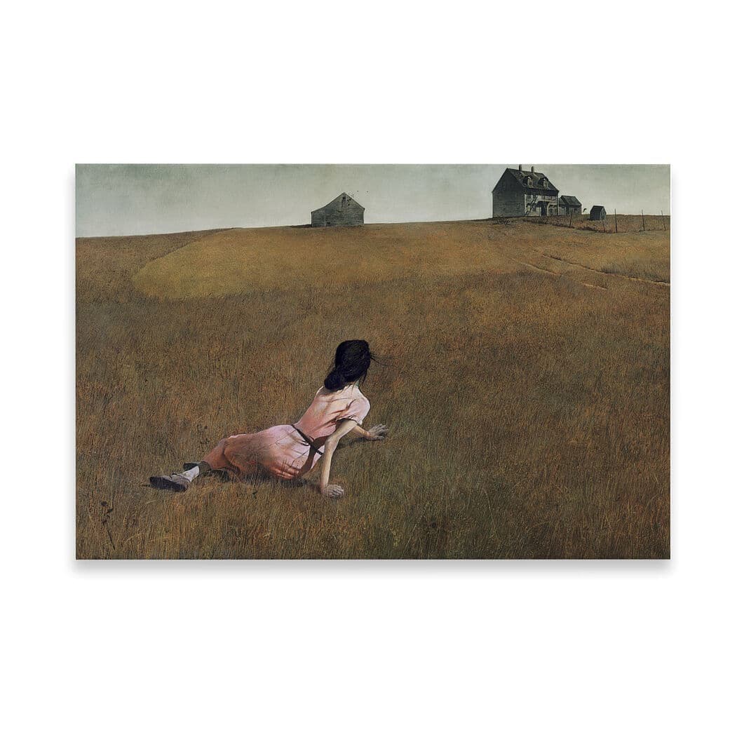 ＜MoMA＞ MoMA Andrew Wyeth ジグソー パズル 1000ピース