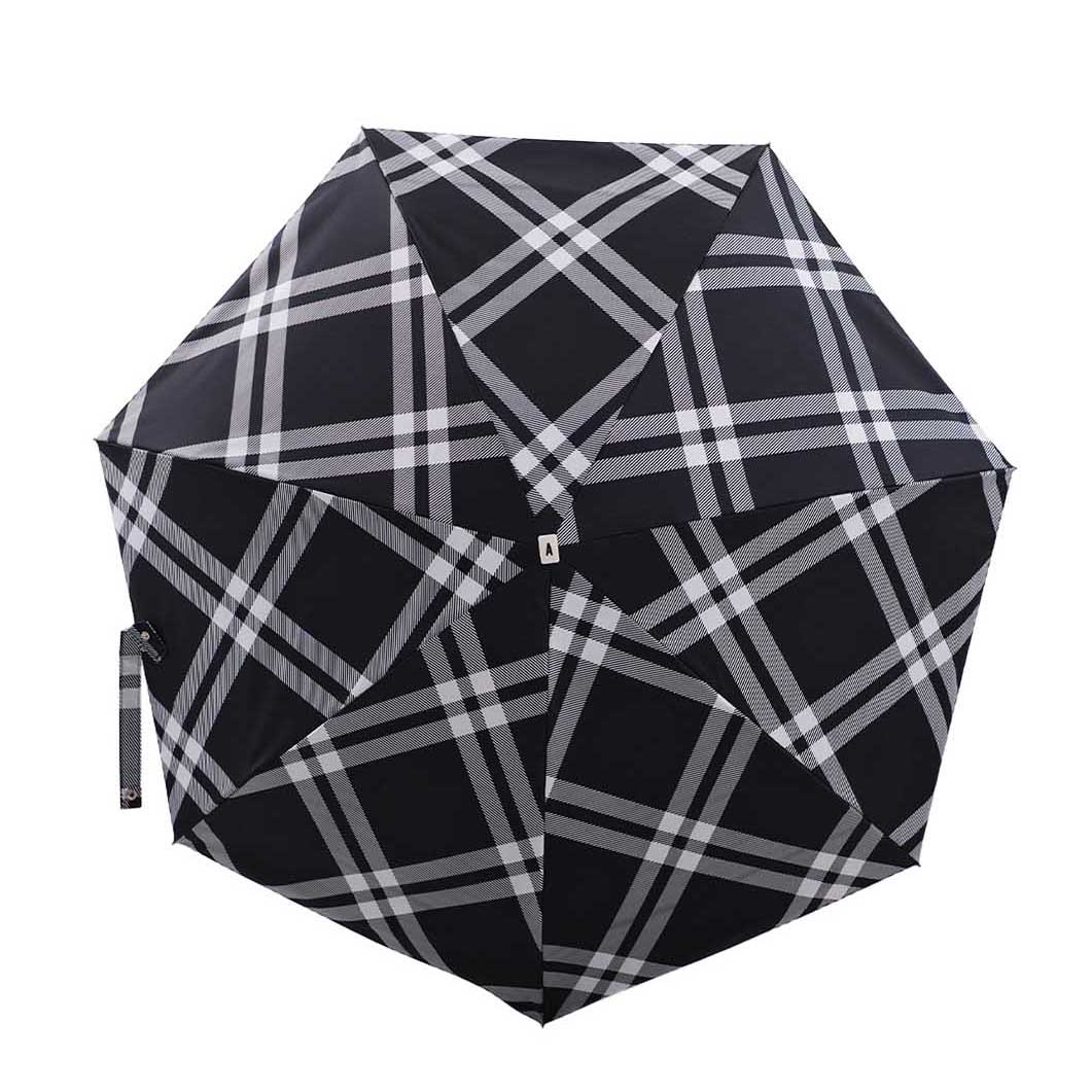 Anatole Sun �A���u���� �܂肽���� �c�C�[�h Camden