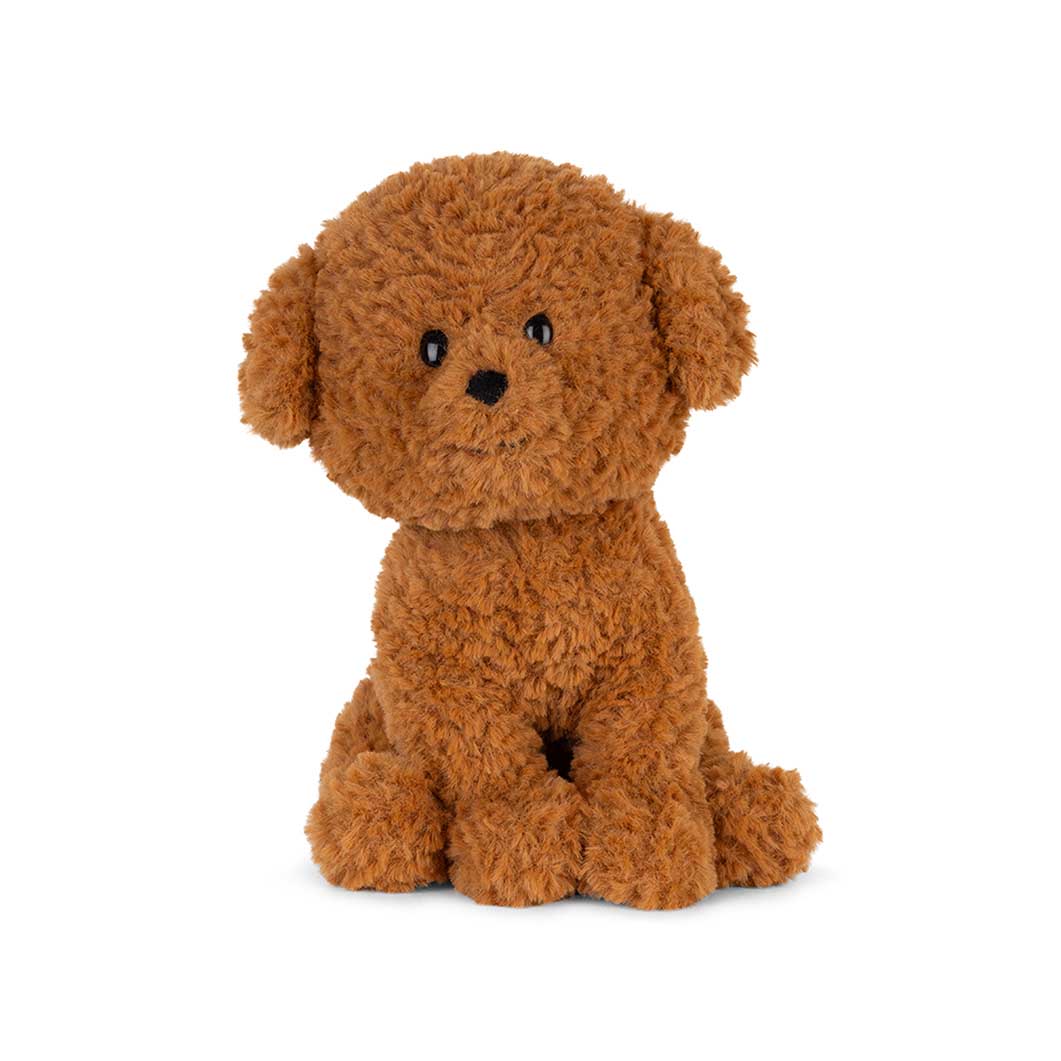Freddy the British Shorthair in a Giftbox �v���b�V���g�C