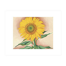 オキーフ：A Sunflower from Maggie, 1937 ポスター
