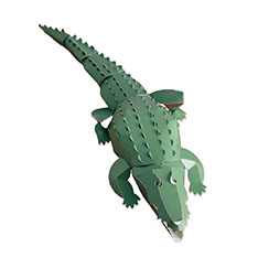 Top to Tail y[p[fLbg j
