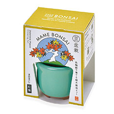 Haco Mame ���~�� �͔|�Z�b�g ���݂��^�O���[��