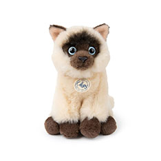 B.T. Chaps Eddie the Siamese vbVgC