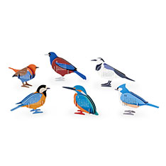 Birds J_[ 2026
