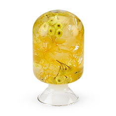 Pieces of Time t[IuWF CG[C[e