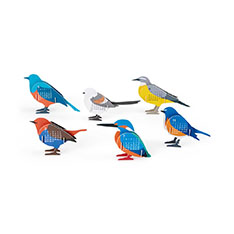 Birds �J�����_�[2027