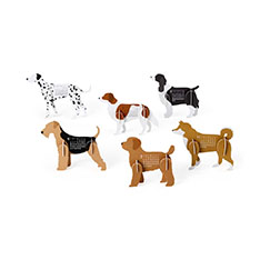 Dogs �J�����_�[2027
