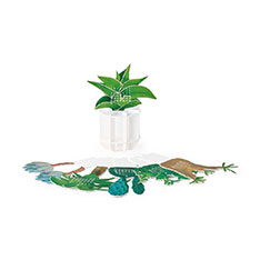 Green �J�����_�[2027