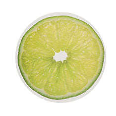 Chilewich Citrus �v���[�X�}�b�g ���C��